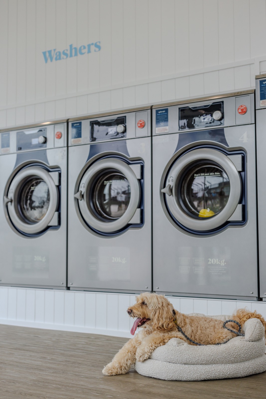 Inside the Spin City laundromat